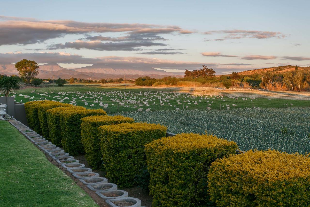 Sonas Boutique Hotel Oudtshoorn Luaran gambar